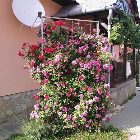 Valentin Maison d'hôtes Balatonlelle