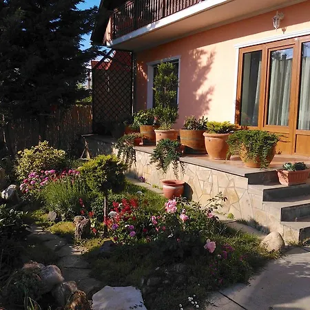 Valentin Vendeghaz Balatonlelle