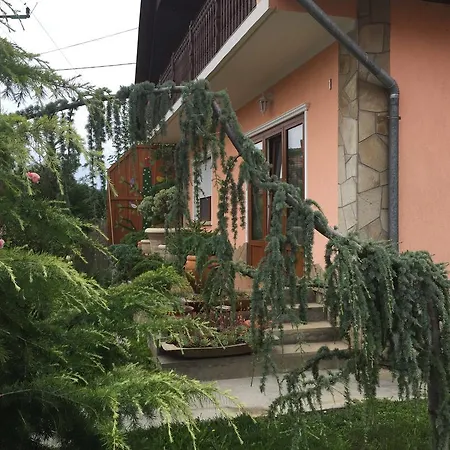 Valentin Vendeghaz Πανσιόν 4*