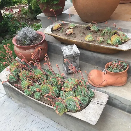 Valentin Vendeghaz Πανσιόν 4*