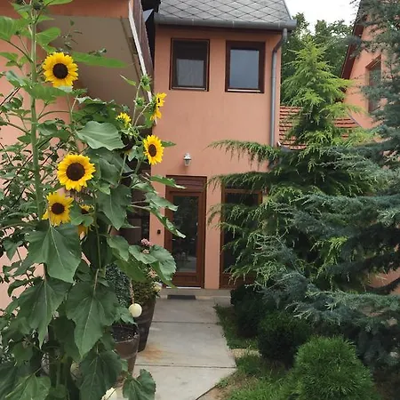 Valentin Vendeghaz Balatonlelle